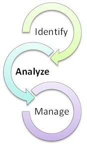 Stakeholder Triad - Analysis Phase